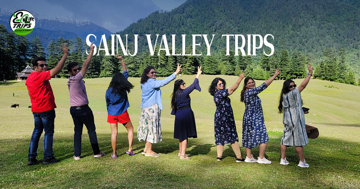 Unveiling the Hidden Gem of Himachal: Exploring the Enchanting Sainj Valley and Shangarh